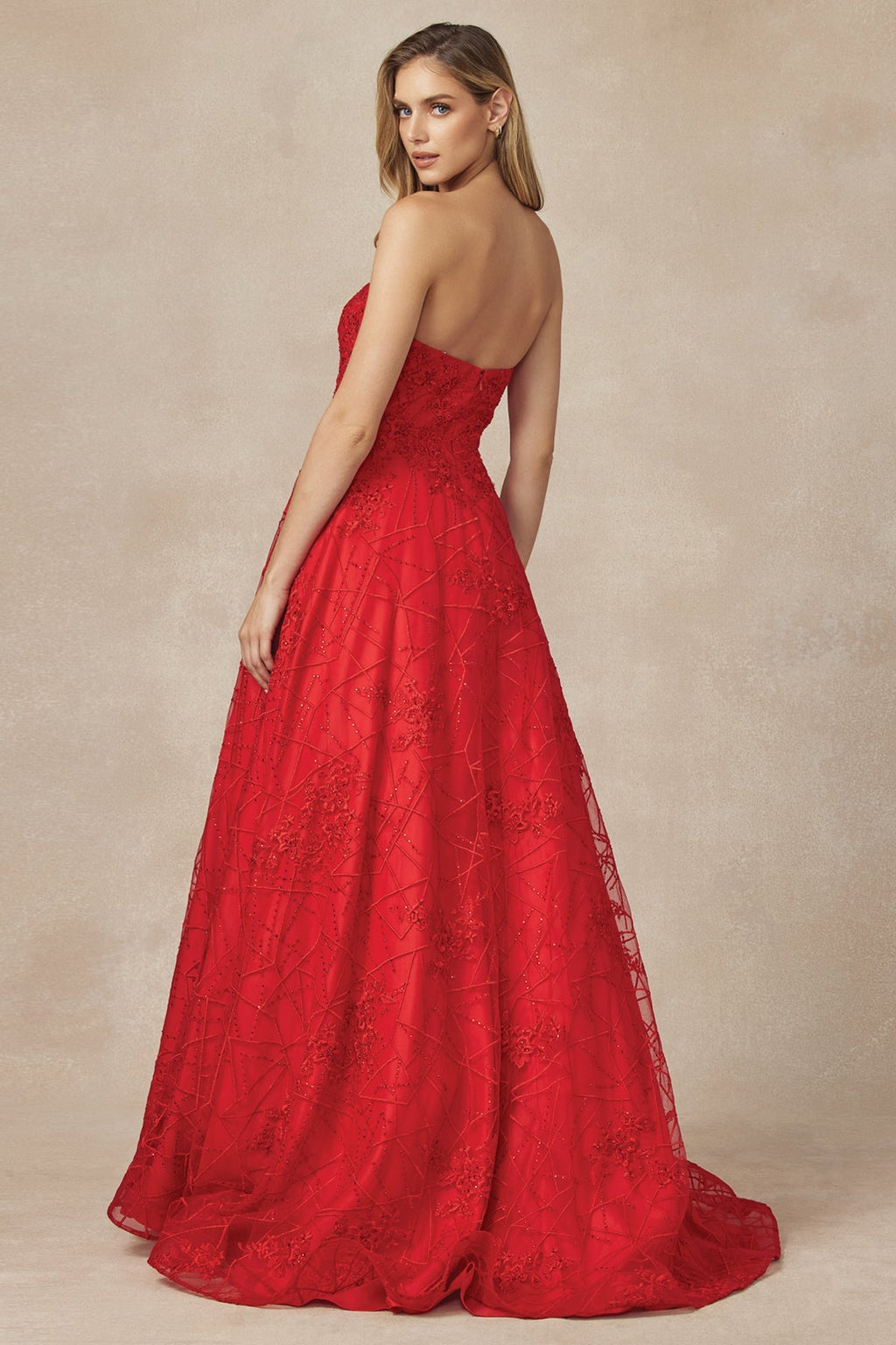 Embroidered Lace Strapless A-Line Open Back Long Prom Dress JT692