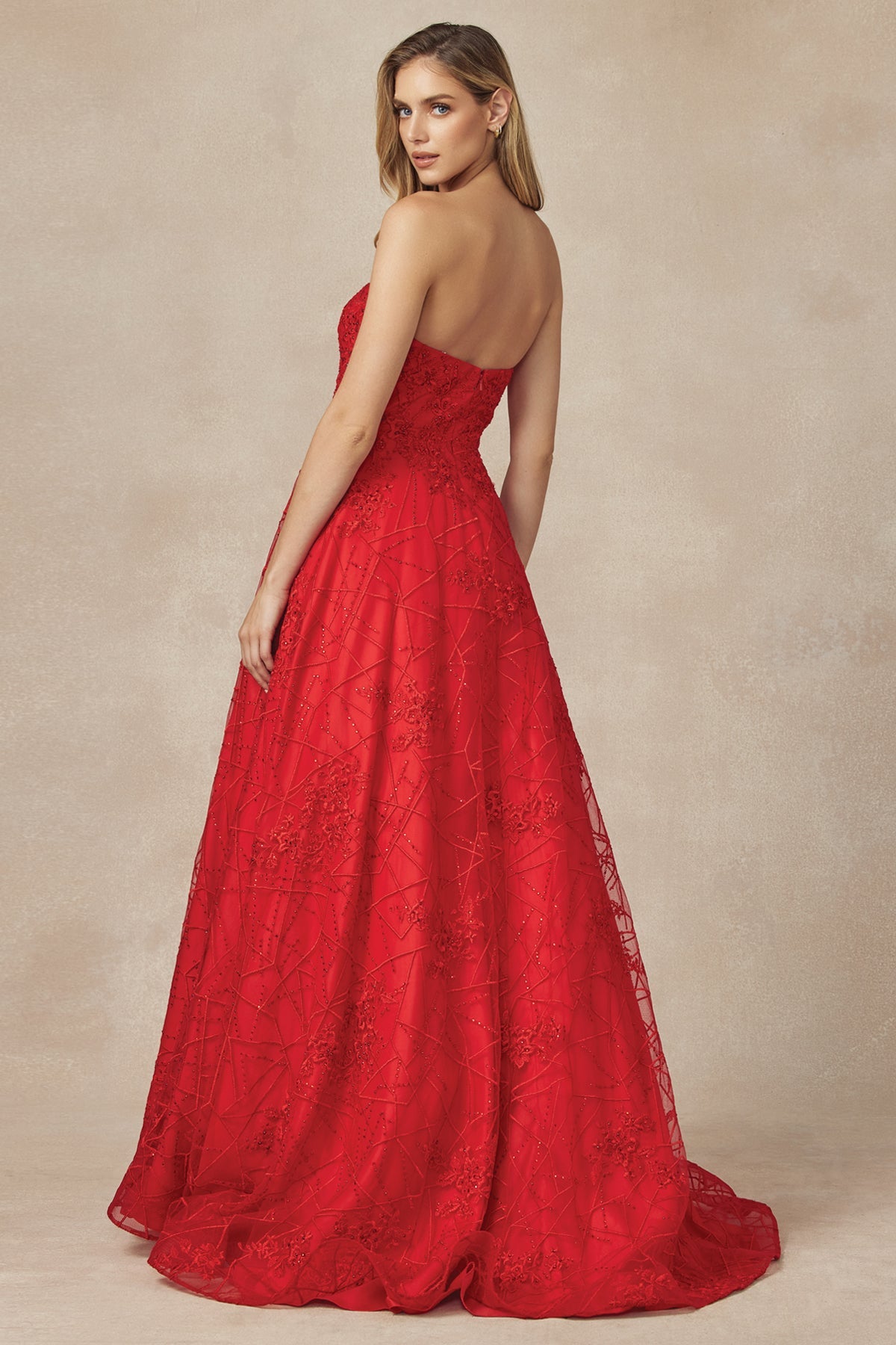Embroidered Lace Strapless A-Line Open Back Long Prom Dress JT692