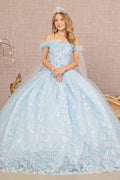 Feather 3D Flower w/ Detachable Side Mesh Layer Long Quinceanera Dress GLGL3166